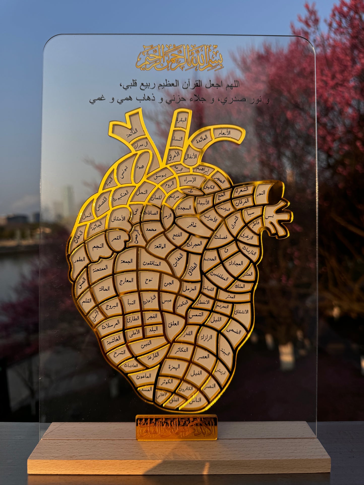 The Hifz Path – A Journey Written in the Heart