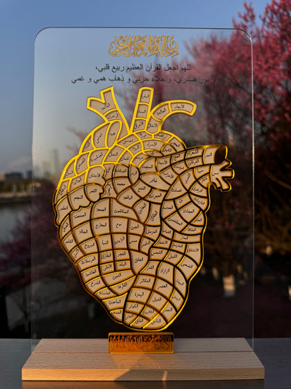 The Hifz Path – A Journey Written in the Heart