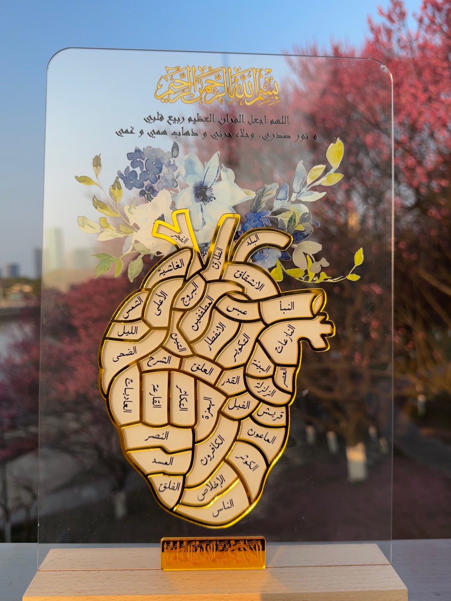The Hifz Path – A Journey Written in the Heart