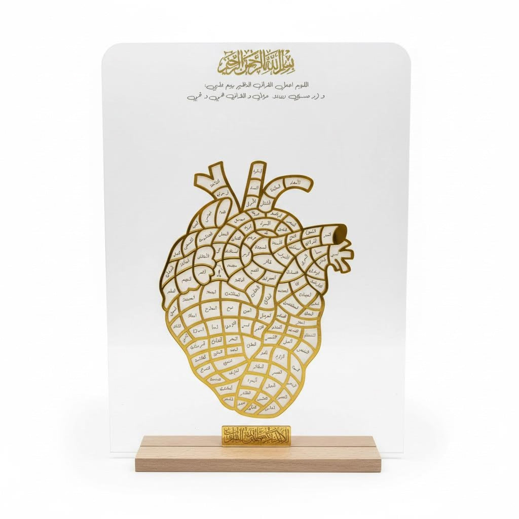 The Hifz Path – A Journey Written in the Heart