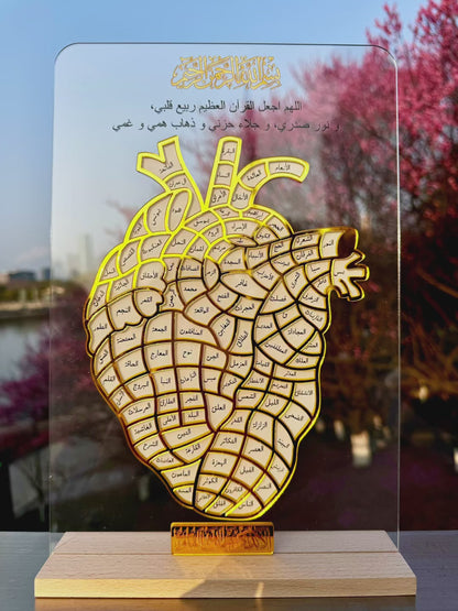 The Hifz Path – A Journey Written in the Heart